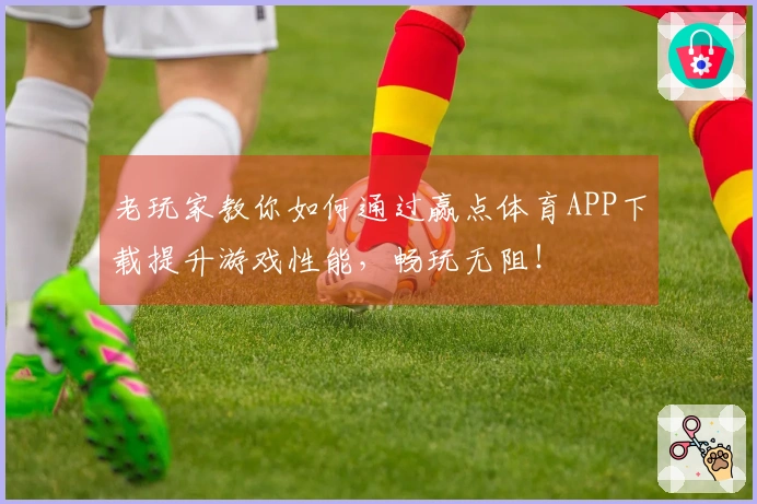 老玩家教你如何通过赢点体育APP下载提升游戏性能,畅玩无阻!
