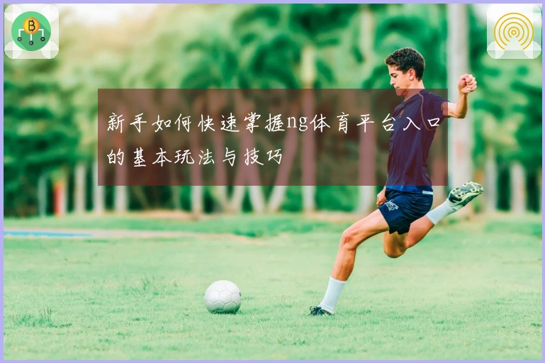 新手如何快速掌握ng体育平台入口的基本玩法与技巧